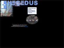 Tablet Screenshot of hegedus.com